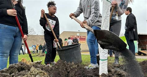 Great River Greening gets $10 million for trees to cool urban heat ...