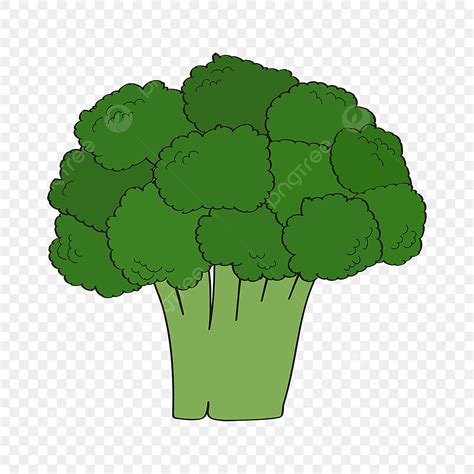 Broccoli Vegetables Vector Design Images, Broccoli Clipart Healthy ...