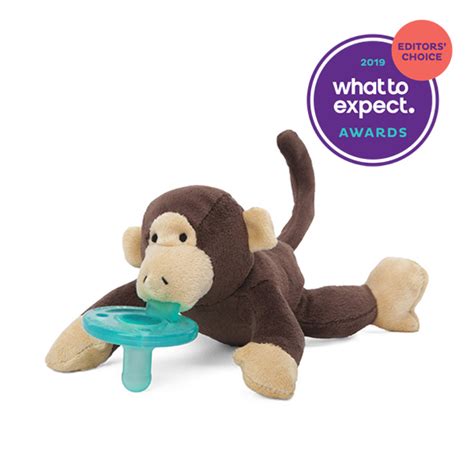 Best Baby Pacifiers for Newborns and Infants 2021