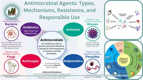 Image result for Antimicrobial Examples