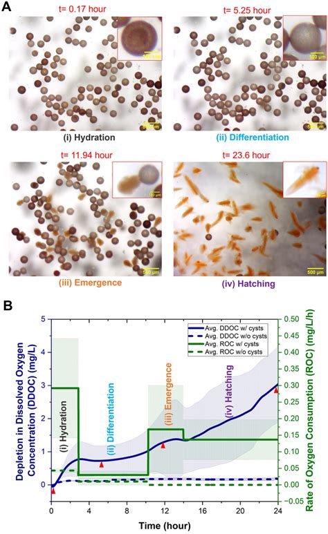 Image result for O2 Sensor Readings