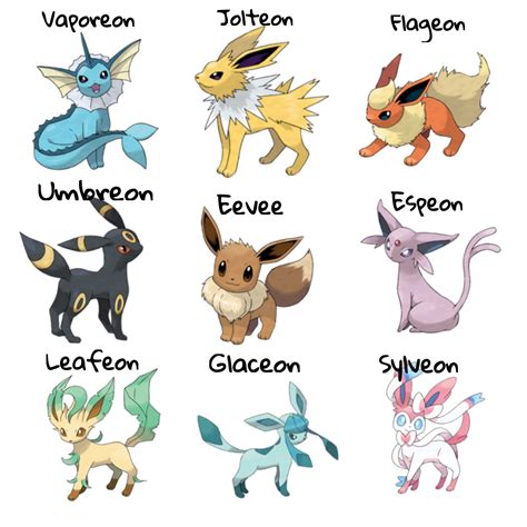 Different Evolutions Of Eevee