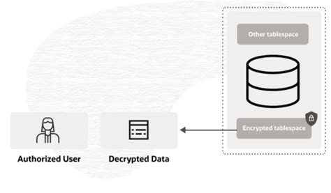 Image result for Oracle Advanced Security