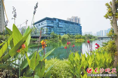 第二建筑管理公司_湖南省郴州建设集团有限公司