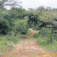 Wooing in the woods is now a punishable offence, says BU