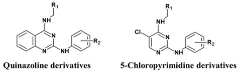 Elucidation of Vasodilation Response and Structure Activity ...