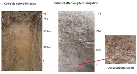 The Current State of Irrigated Soils in the Central Fergana Desert ...