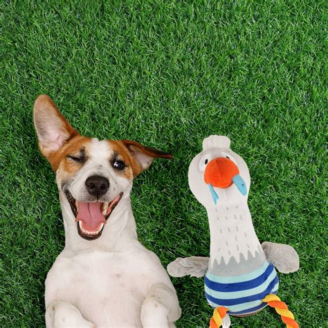 Fofos Sealife Sea Mew Dog Toy – ShakeHands