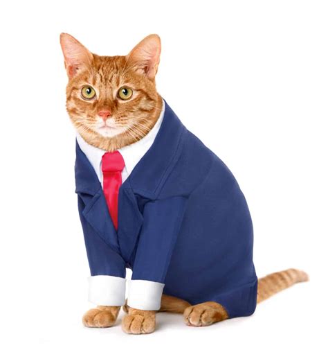 Cat Costumes - Pet Costume Center