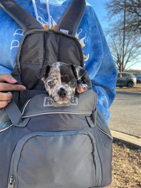 A CEO's Love Note to Funders Who Stepped Up in 2020