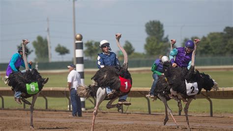 Ostrich Racing