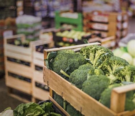 Image result for Large Scale Farming Challenges