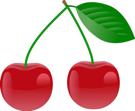 Free Cherry Vector Art - Download 293+ Cherry Icons & Graphics - Pixabay