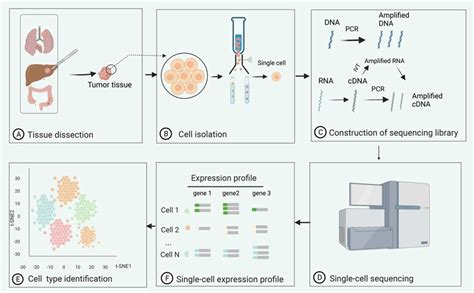 Image result for Solid Sequencing Explained