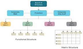 Multidivisional Structure 的图像结果