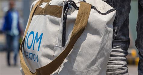 Human Migration Cycle 的图像结果