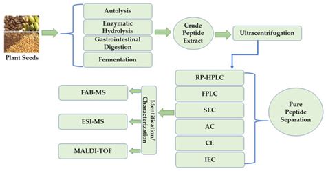 Production, Purification, and Potential Health Applications of Edible ...