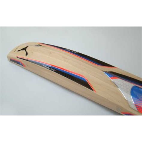 Puma Pulse 5000 English Willow Cricket Bat(Short Handle) Price in India ...