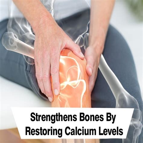 Osteoarthritis Ayurvedic Treatment – Ayurvedayogashram