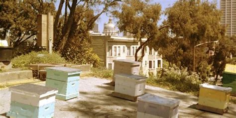 Local Sustanability 的图像结果