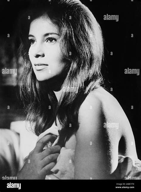 THE LION IN WINTER, Jane Merrow, 1968 Stock Photo - Alamy