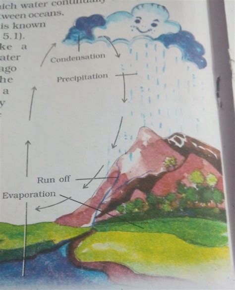 please explain me precipitation condensation and evaporation And Water ...