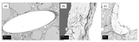 Long-Term Strength of Alkali-Activated Mortars with Steel Fibres Cured ...