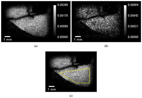 Neutron Imaging with Timepix Coupled Lithium Indium Diselenide