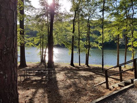 Coker Tourism (2024): All You Need to Know Before You Go