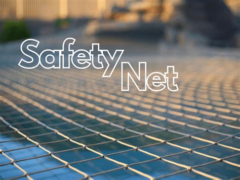 Image result for Safety Net Insurance