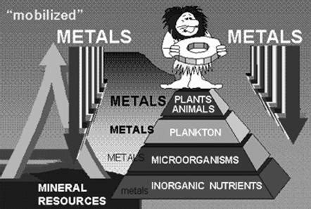 Biosorption : Techniques and Mechanisms