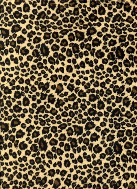 Cheetah Print Wallpapers - Wallpaper Cave