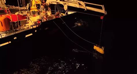 Marine Creatures In The Twilight Zone Of The Ocean Are Captured By Robots