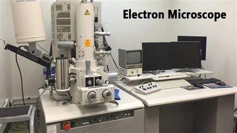Image result for Electron Microscope Types