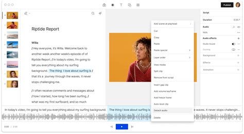 Image result for Remove Audio From Video Software
