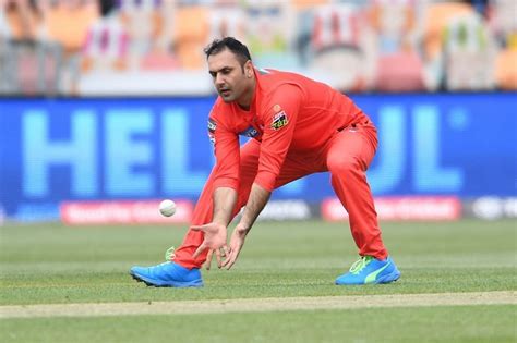 BBL 2020: Melbourne Renegades spinner Imran Tahir pulls out of the ...