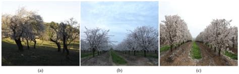 Agriculture | Special Issue : Feature Papers in Ecosystem, Environment ...