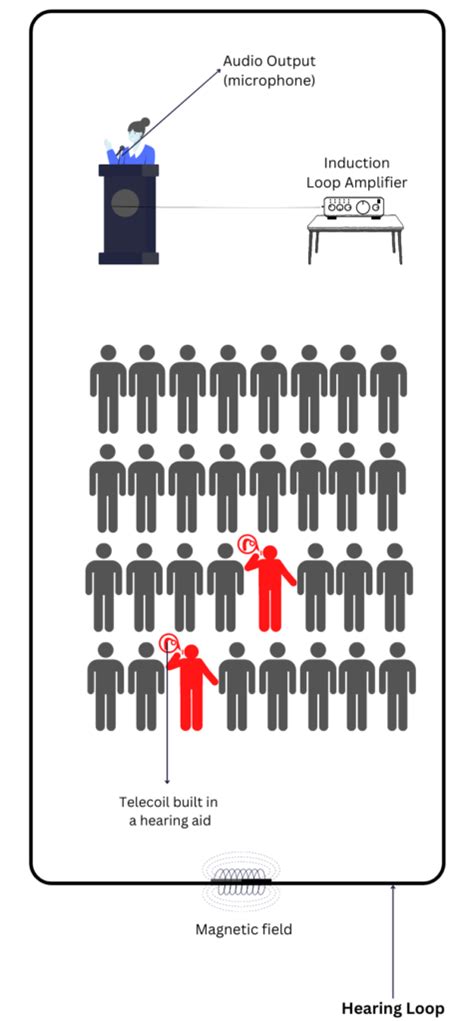 Loop System 的图像结果