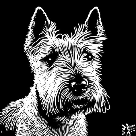 Cute shiba inu dog mão desenhada desenho animado adesivo ícone conceito ...