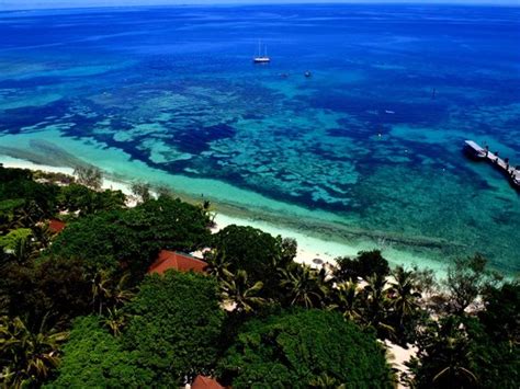 Amedee Diving Club (Noumea) - 2022 What to Know Before You Go (with ...