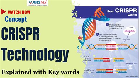 CRISPR Technology Explained 的图像结果
