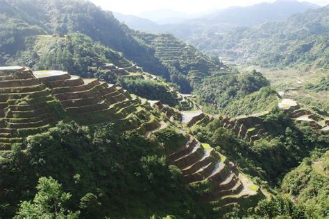 Download Caption: Majestic Banaue Rice Terraces Amidst Morning Mist ...