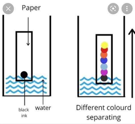 Draw a diagram in separating the components of ink by paper ...