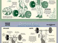 Image result for Proper Weight Lifting Form