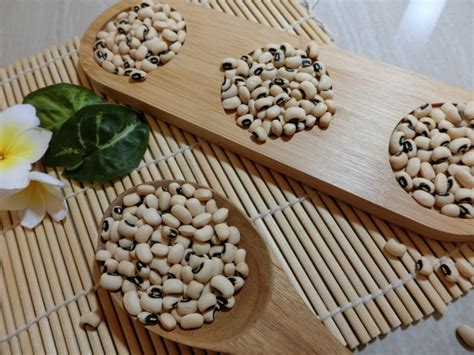 米豆 - 產品分類 | 新勝裕幸福種子店