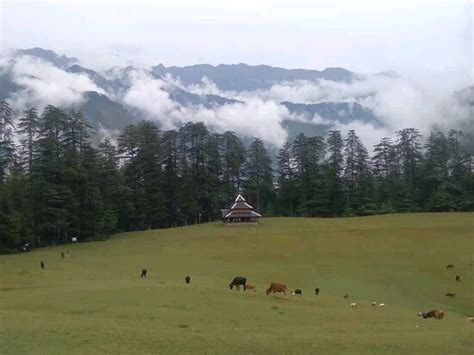 Shangarh Tourism (2022): Best of Shangarh, India - Tripadvisor