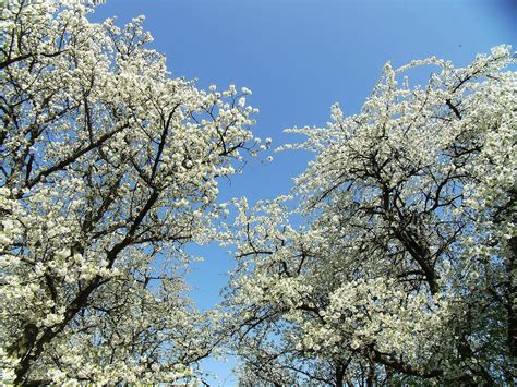 Zolder Tourism: All You Need to Know Before You Go (2025)