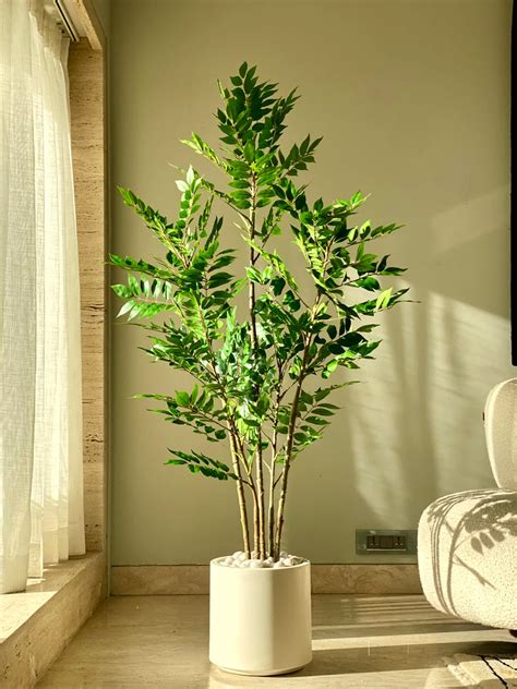 Artificial Tall Plants – Mason Home by Amarsons - Lifestyle & Decor