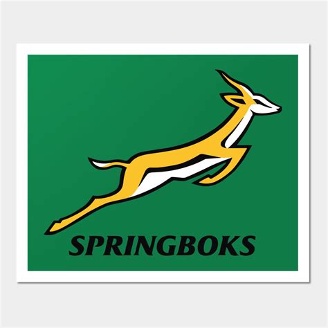 Image result for Springbok Rugby Pics