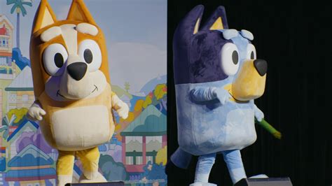 Bluey & Bingo Live Interactive Show